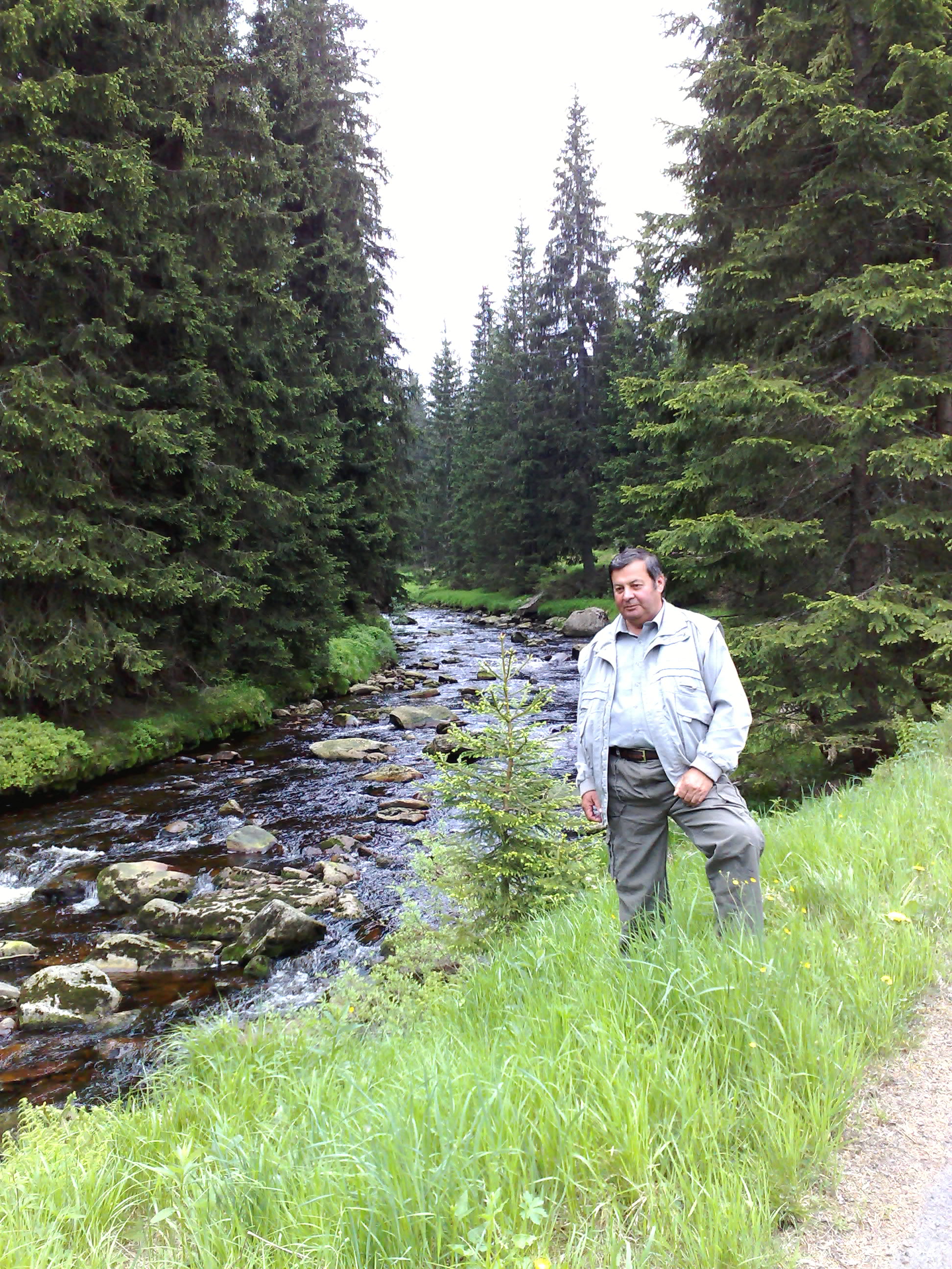 .MODRAVA (01)
