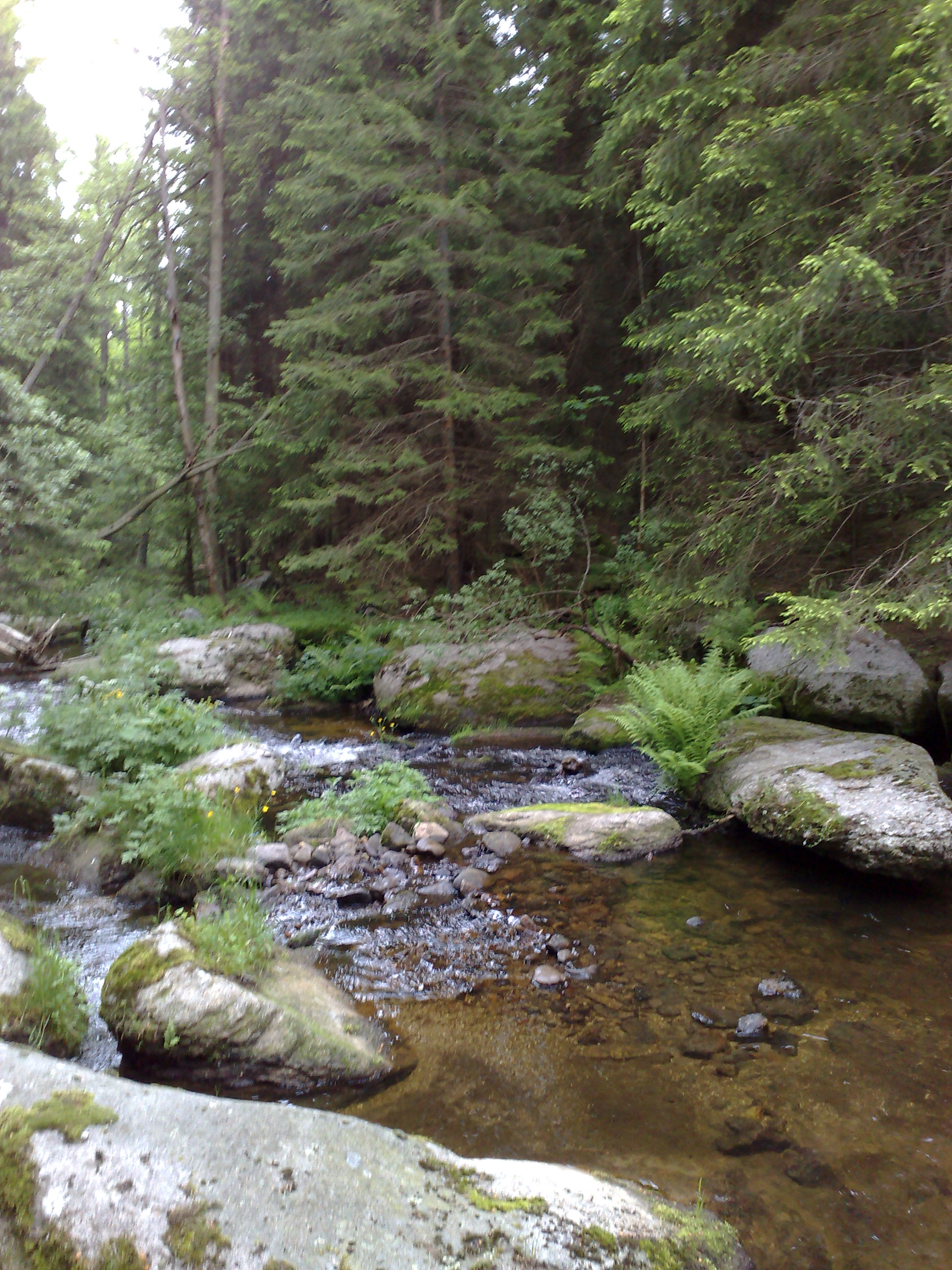 .SRNí (04)