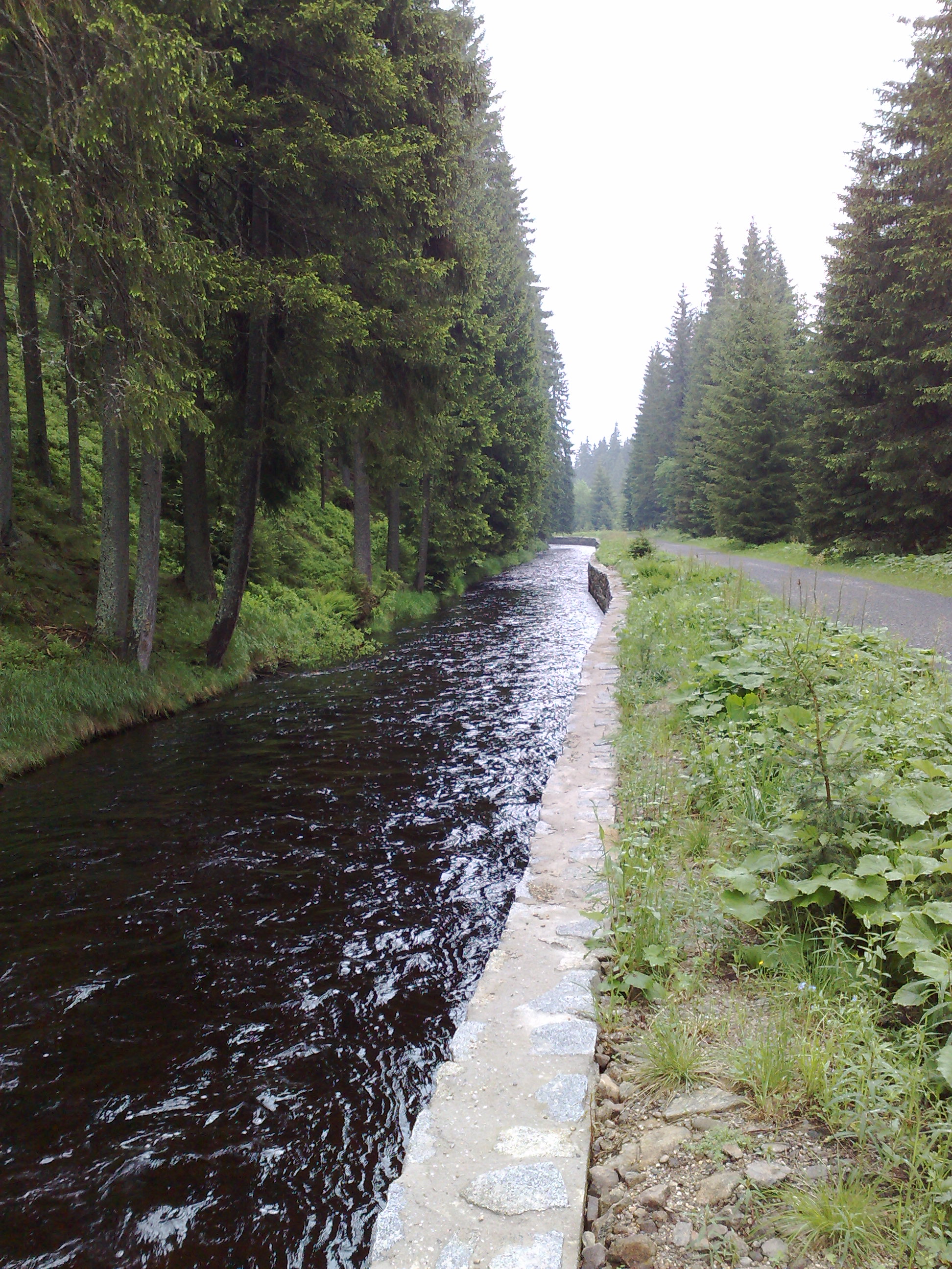 .VCHYNICE-TETOV (07) PLAVEBNí KANáL