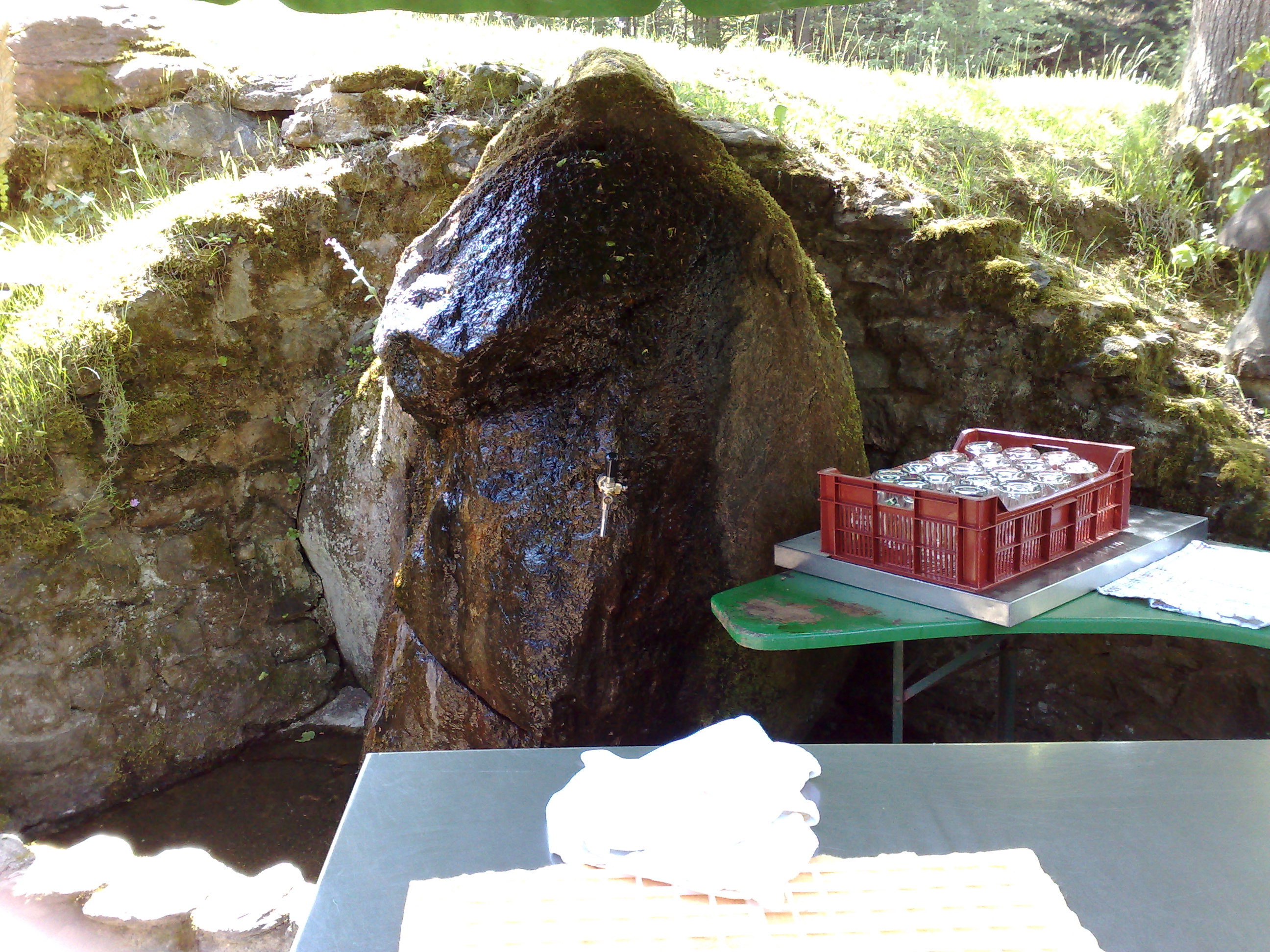Schwellhausl 26.5.2011 (05)