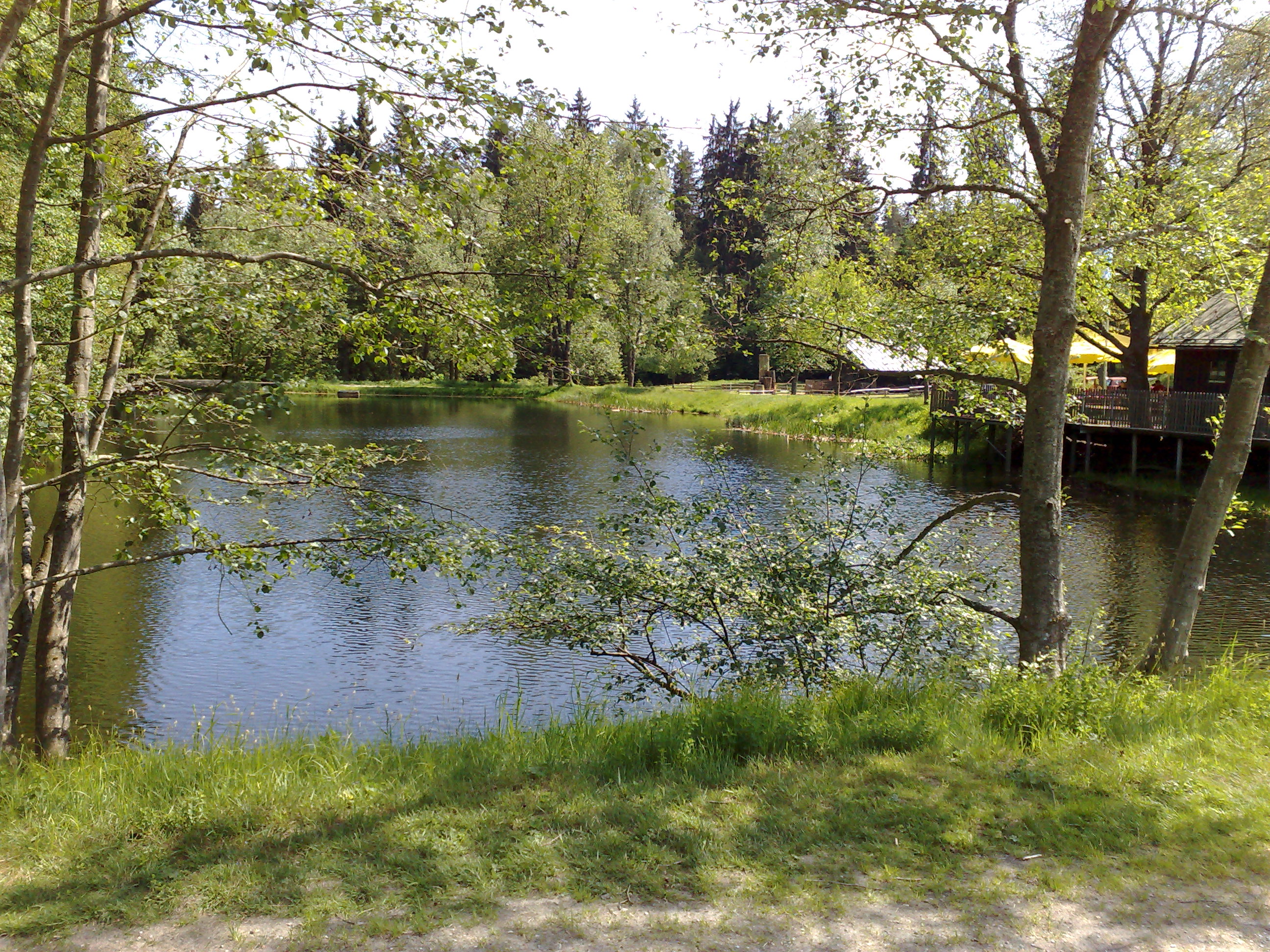Schwellhausl 26.5.2011 (08)