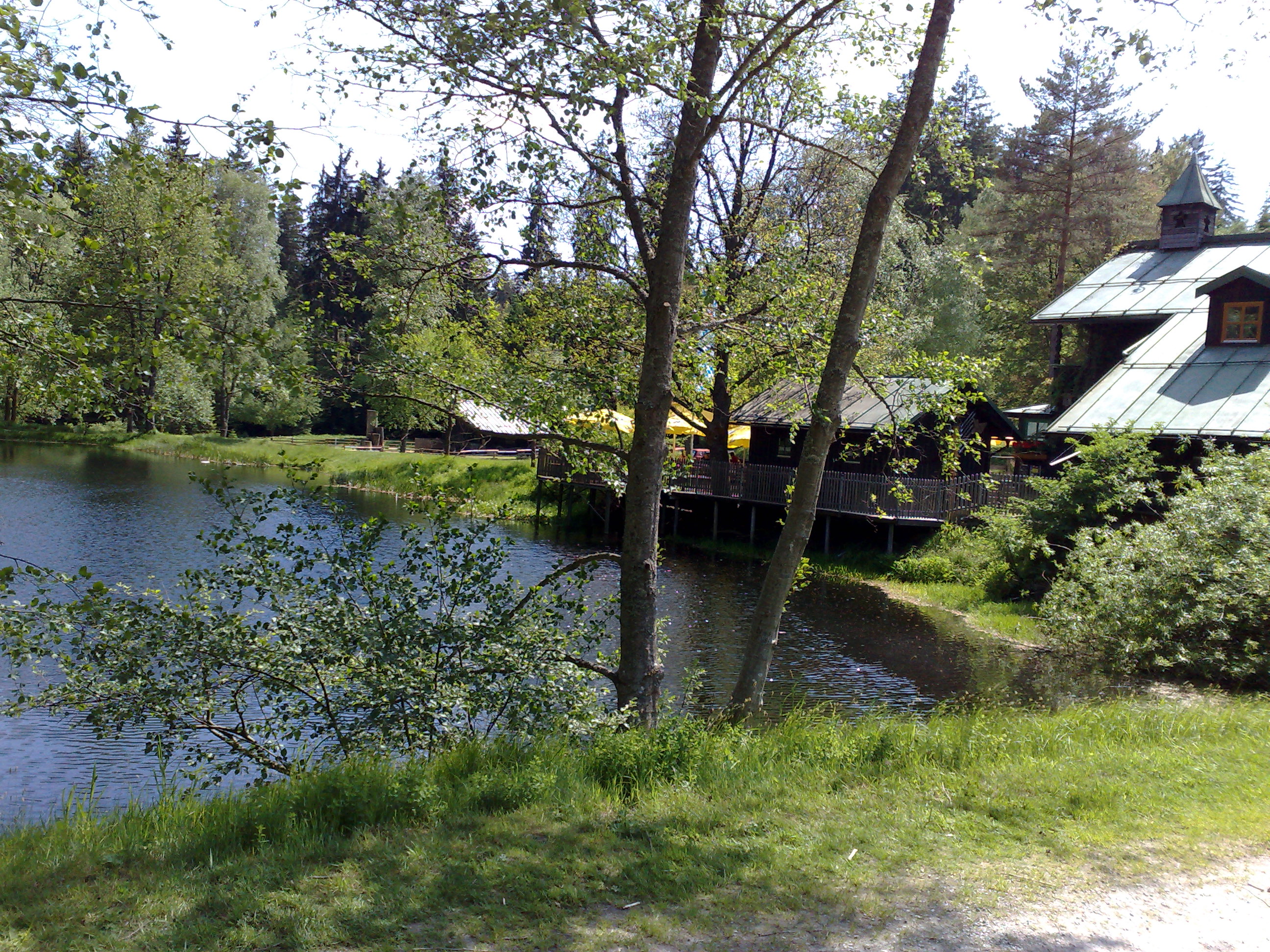 Schwellhausl 26.5.2011 (09)